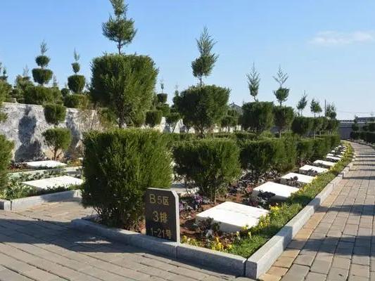 永定塔陵近期有优惠活动吗