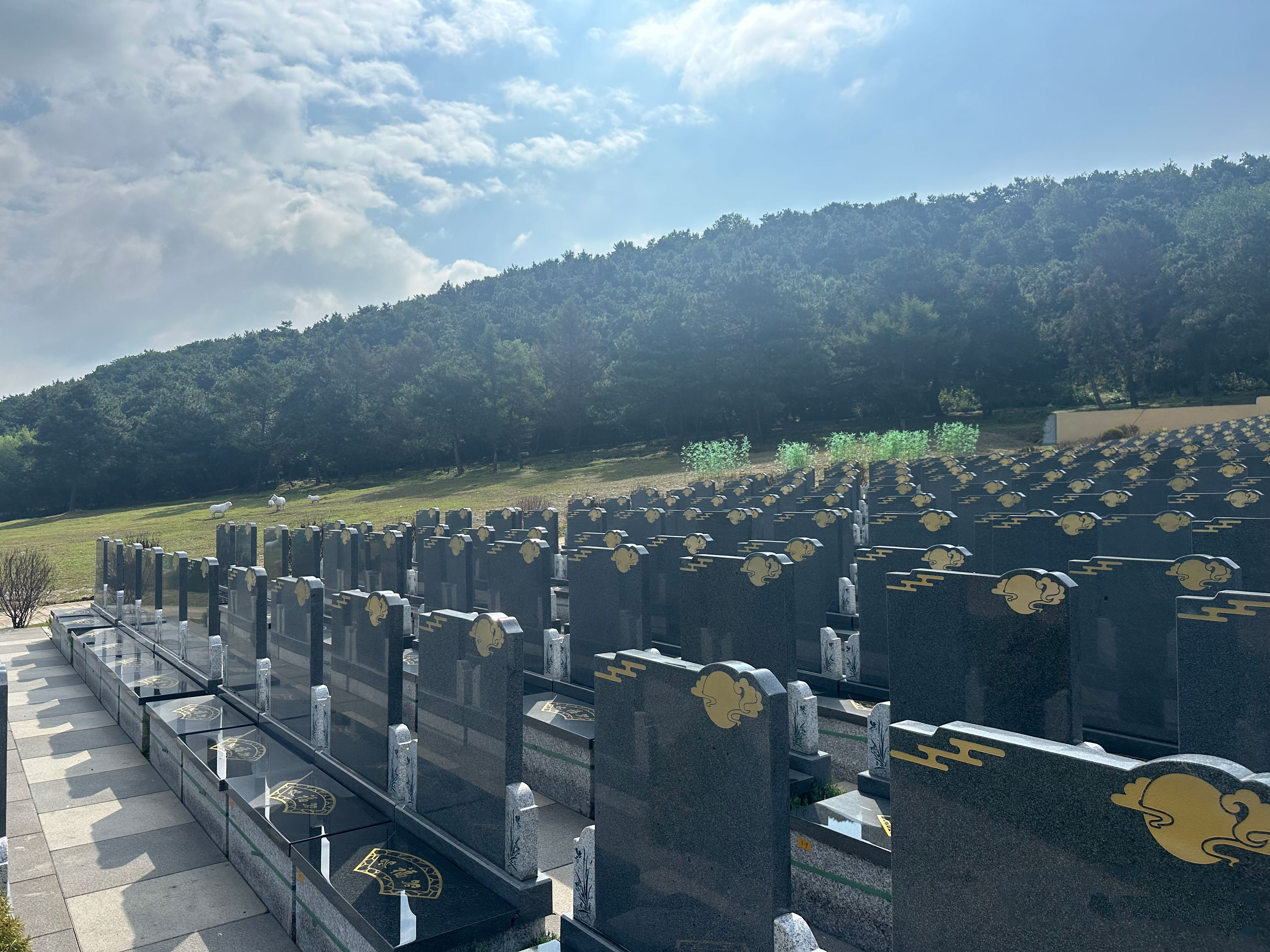 永定塔陵近期有优惠活动吗